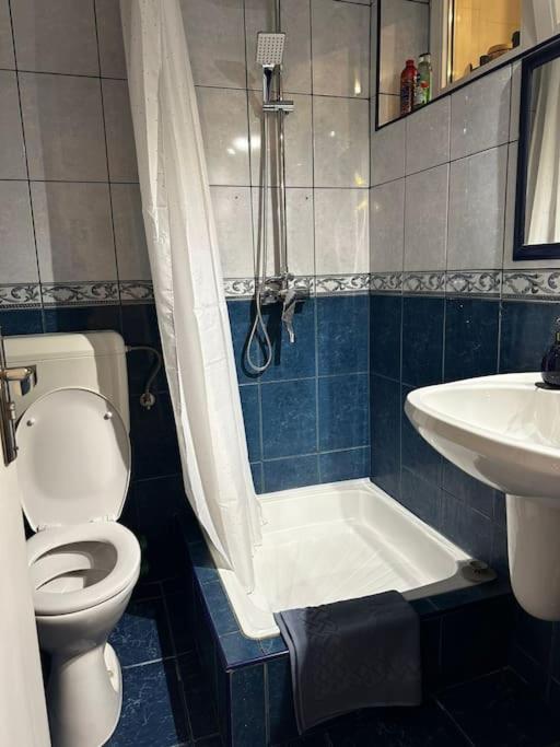 Apartamento Studio Cozy Piata Victoriei Bucarest Exterior foto